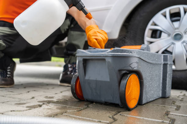 Best Pest Control for Lawns  in Forestville, MD
